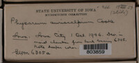 Image Associated With the Occurence